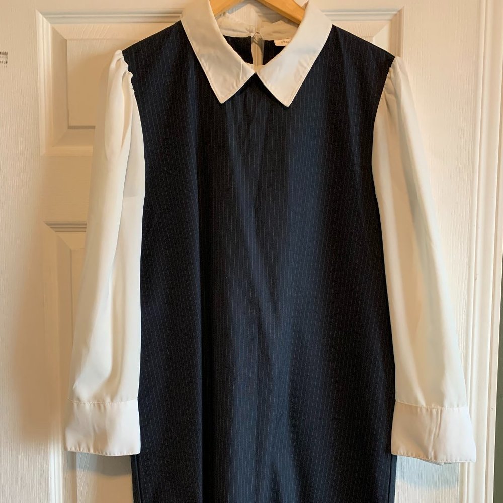 Ladies Collar dress